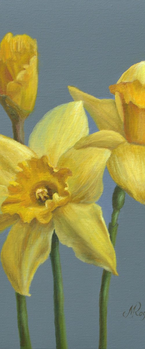 Yellow daffodils original oil painting by Marina Petukhova