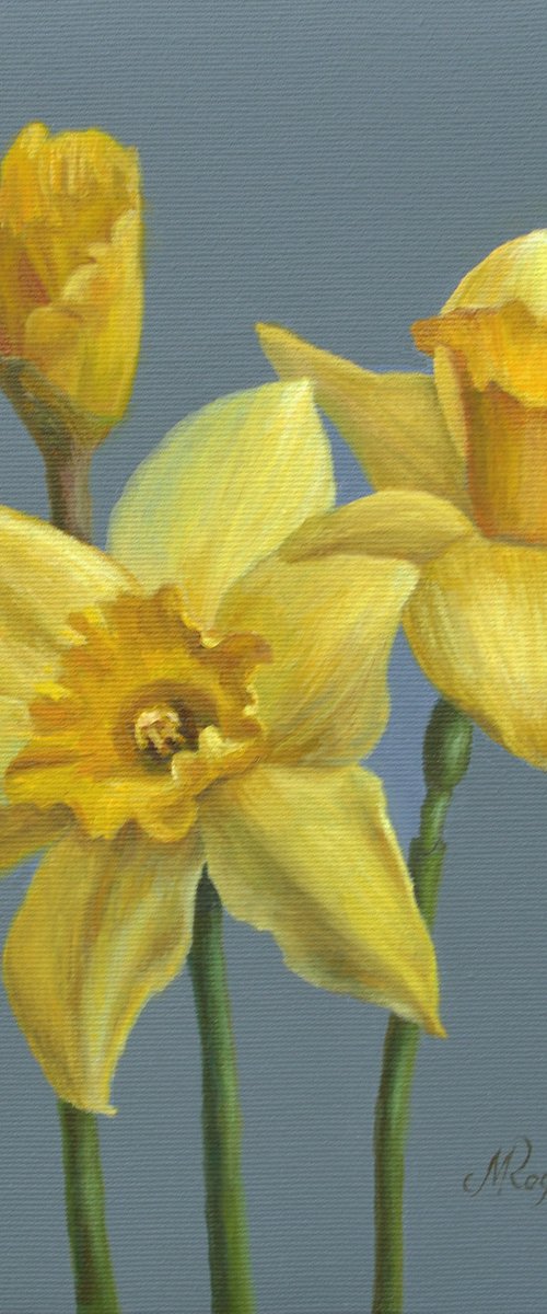 Yellow daffodils original oil painting by Marina Rogusheva