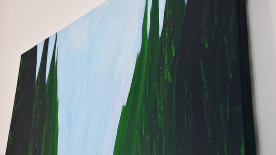 Cypresses