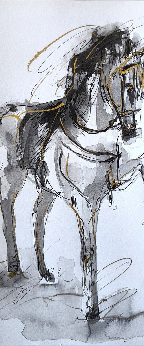 Equine Poetry Series by Antigoni Tziora