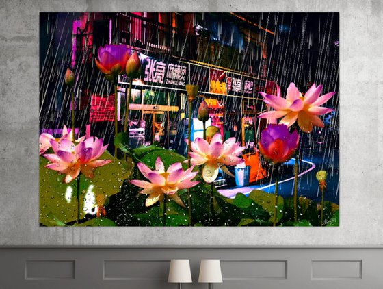 Lotuses in the Rain