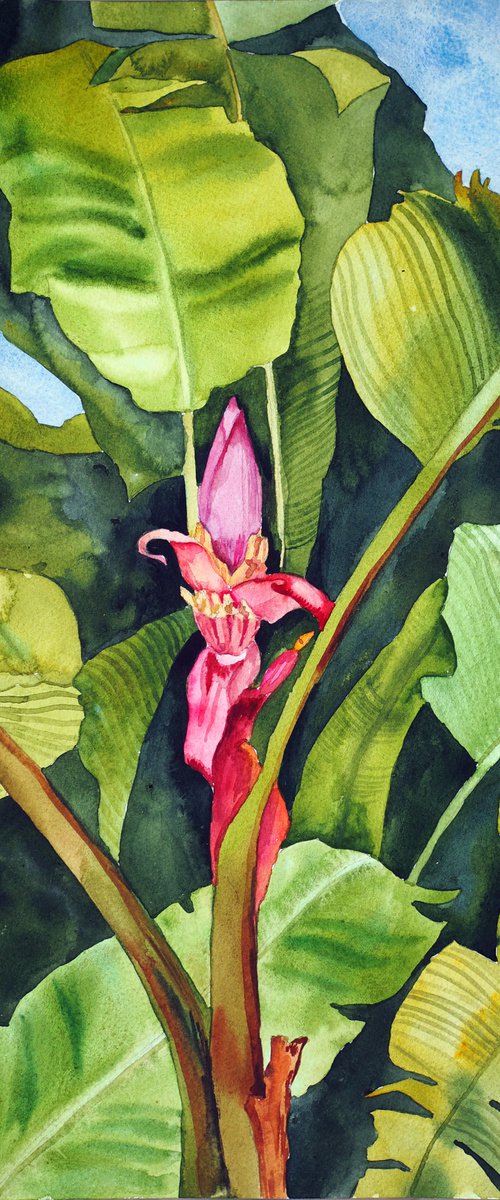 Banana blossom and palms - original tropical watercolor by Delnara El