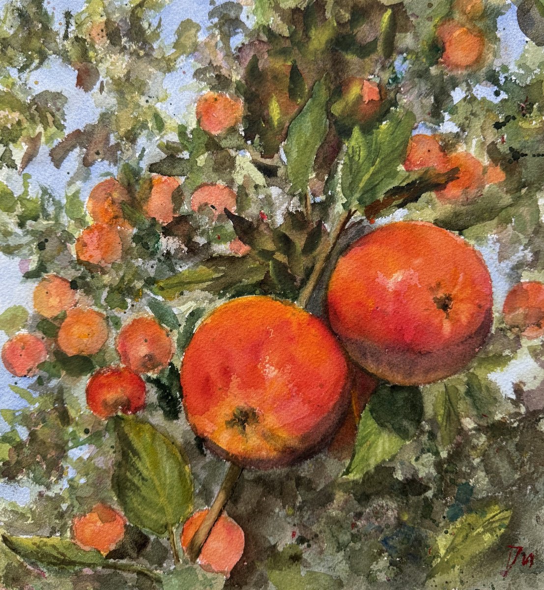 Apple tree by Shelly Du