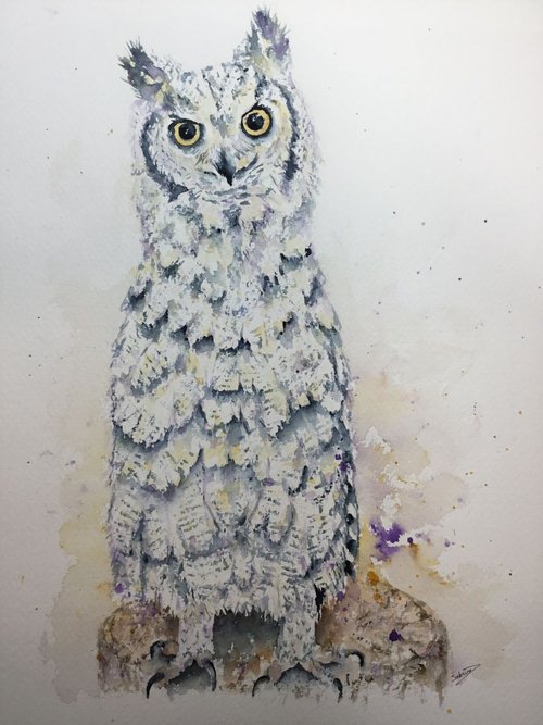 South-African Owl by Sabrina’s Art