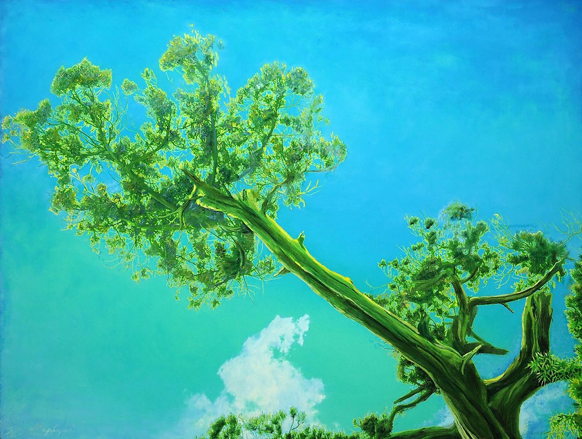 Impressionistic Landscape Oil Painting By Anatolii Varvarov, 51 X 39, Witness The Time. Dawn, Original Artwork