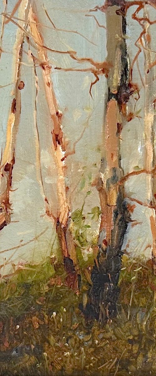 Autumn Grove, Original oil painting, Handmade artwork, One of a kind by Vahe Yeremyan