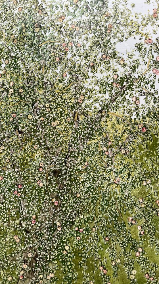 View from the window of an apple orchard.