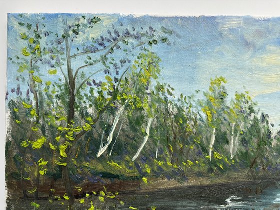 Birch trees on the lake