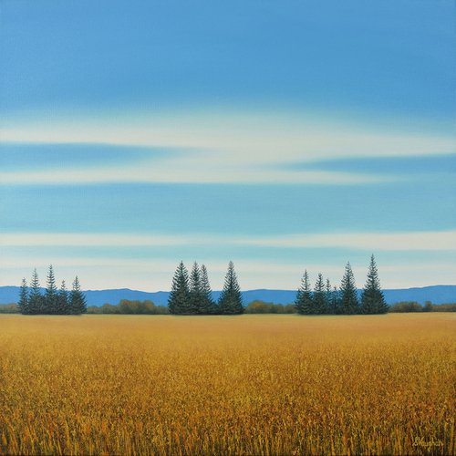 Golden Vista - Blue Sky Landscape by Suzanne Vaughan