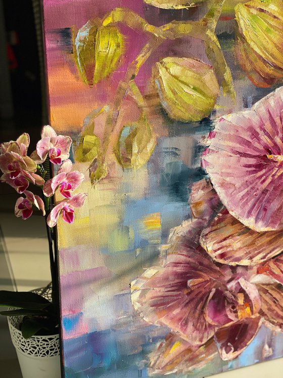 Pink orchid phalaenopsis interior tropical oil painting. “Pirate Picotee” butterfly. Green, pink, blue and yellow colors.