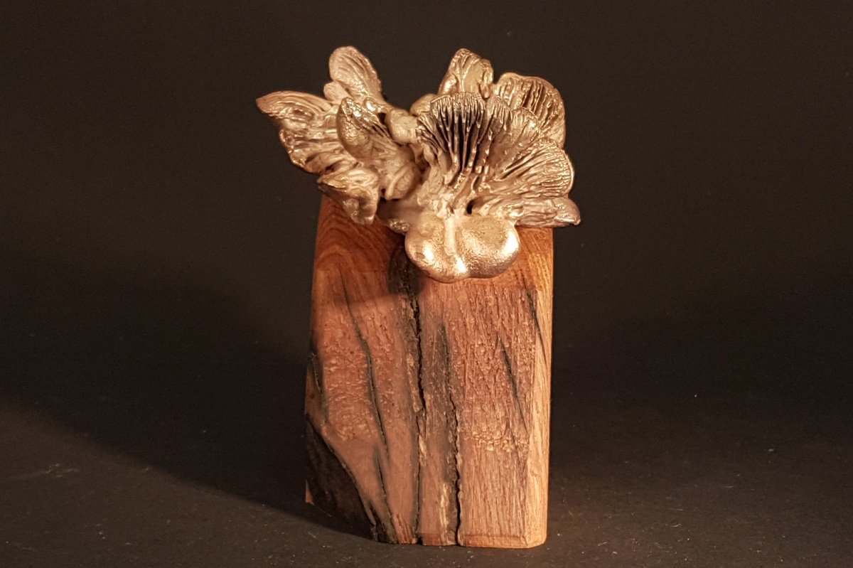 Impressionistic Botanical Bronze Sculpture By Wichert Van Engelen, 3 X 5", Delicate Mushrooms On Oak, Original Artwork