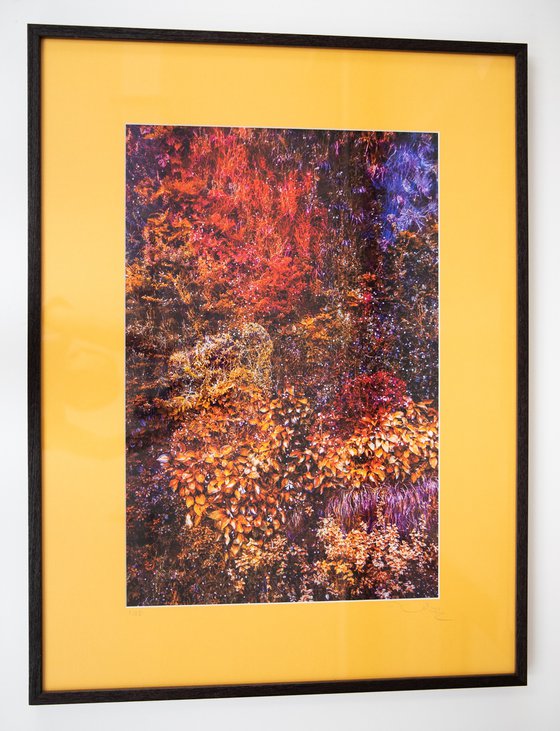 Wall of Nature LXII (Framed)