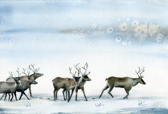 Reindeer. Winter landscape with walking deer. Original watercolor artwork.