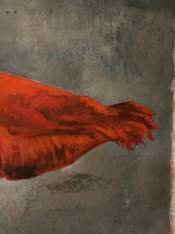 Fluffy duck 30x30