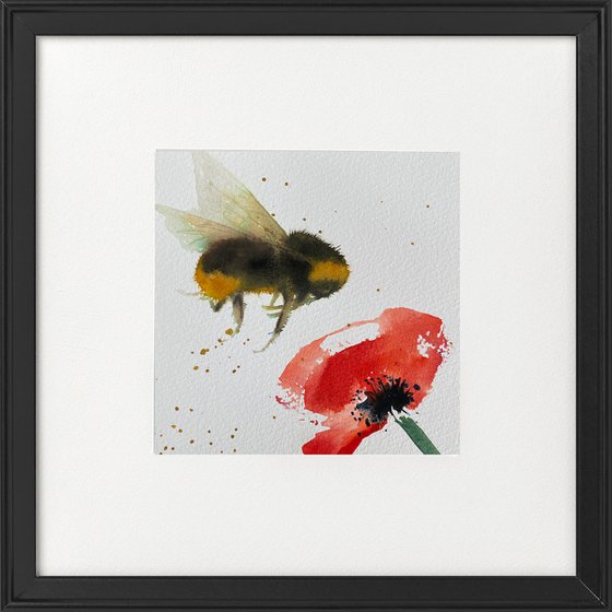 Bee visiting red poppy flower