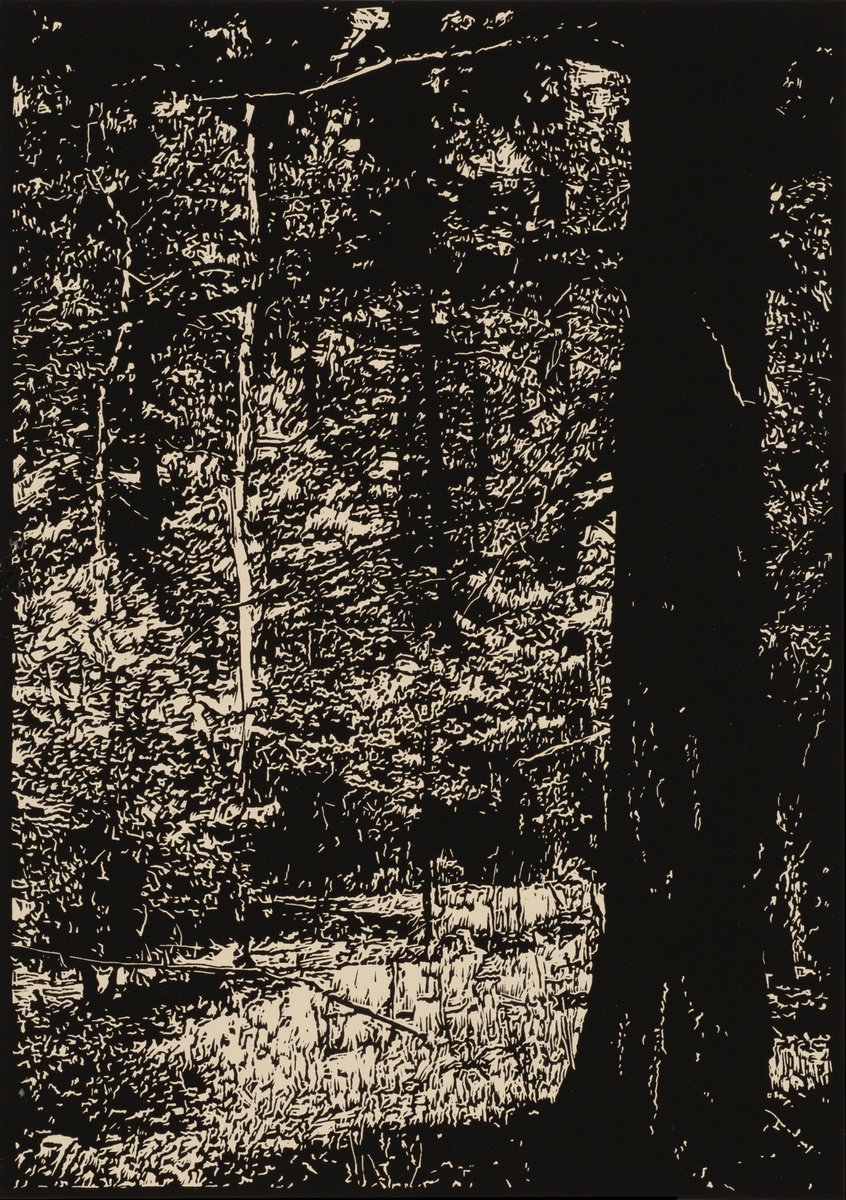 Graphic Linocut , Aspen Glade By David Conn, 15 X 22, Artwork For Sale On Artfinder