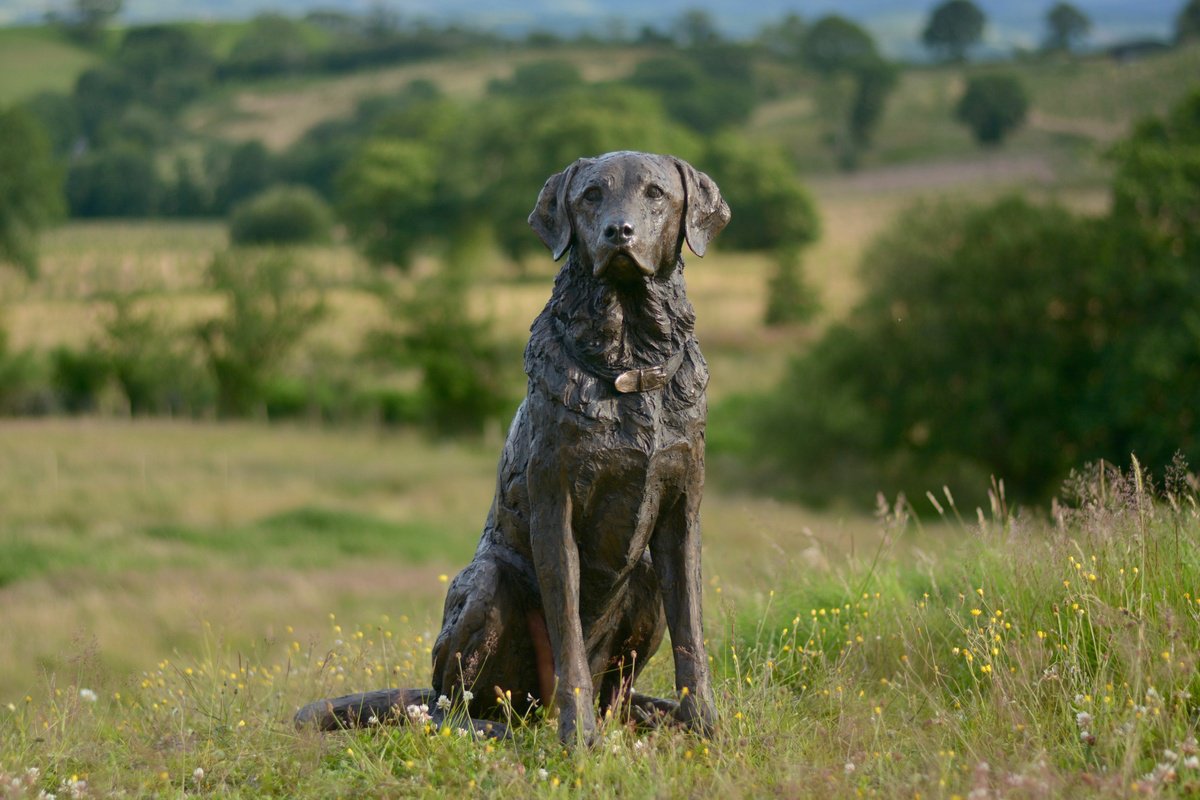 Harris Seated Labrador 2 BR by Tanya Russell