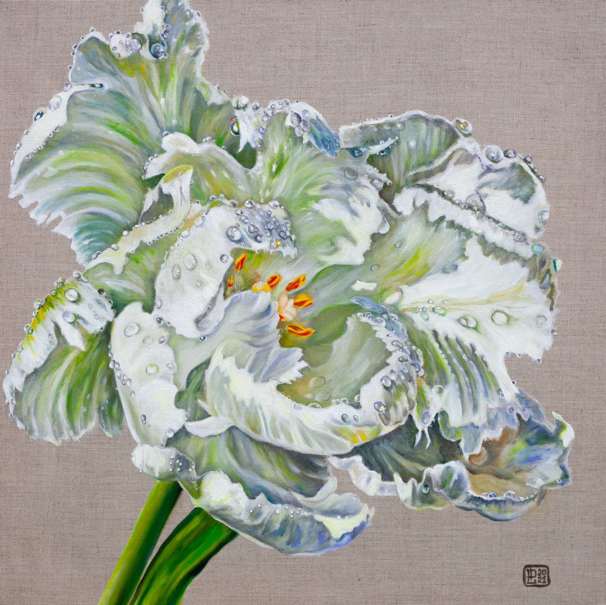 Photorealistic Oil Painting , White Tulip By Liudmila Pisliakova, 24 X 24, Artwork For Sale On Artfinder