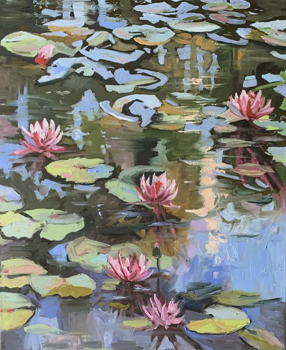 Pond with water lilies.