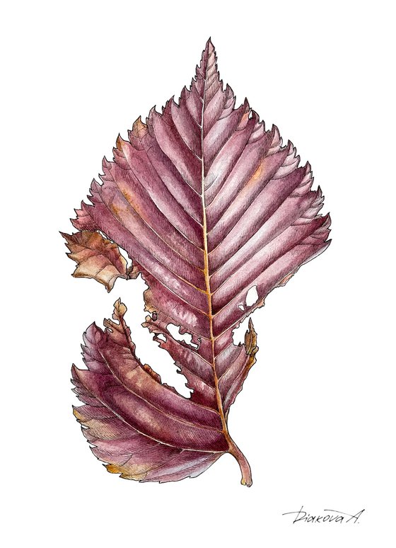 AUTUMN LEAF 21x29 cm (2021) • botanical watercolor painting
