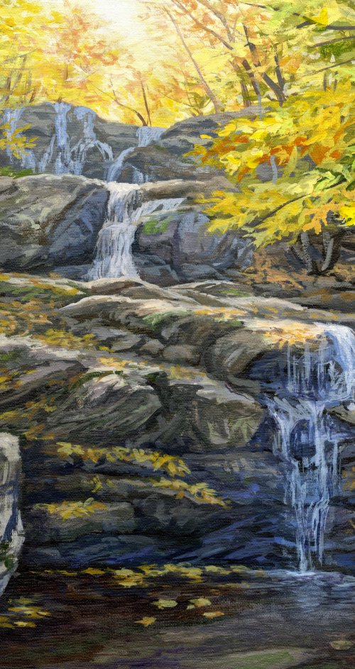 Autumn Day at Dark Hollow Falls by Steph Moraca
