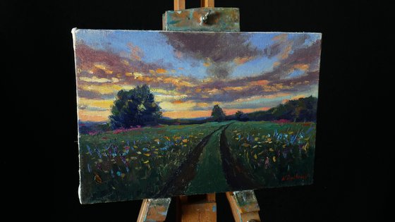 Sunset Over Wildflowers Field - summer landscape painting