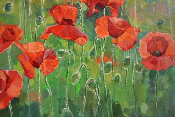 When The Sun Touches The Red