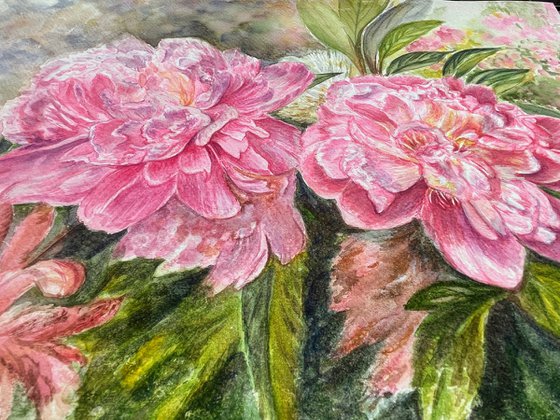 Between Bloom and Fade