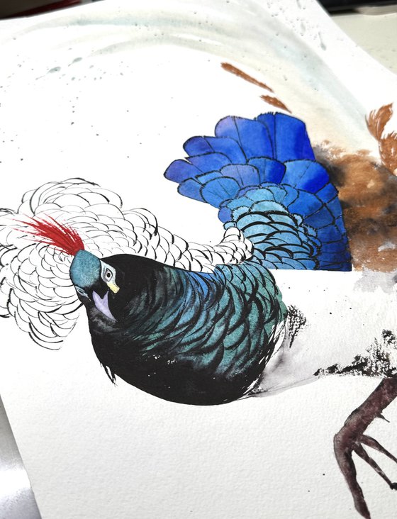 LADY AMHERST’S PHEASANT