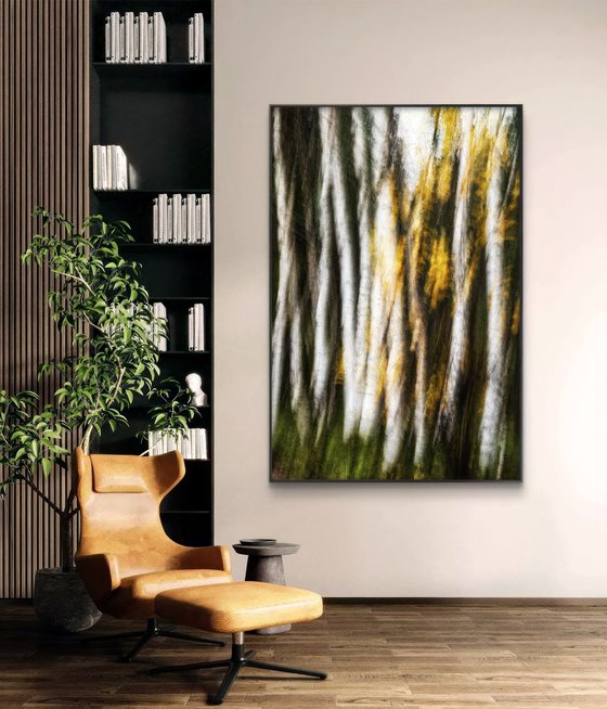 Birches (studio 2)