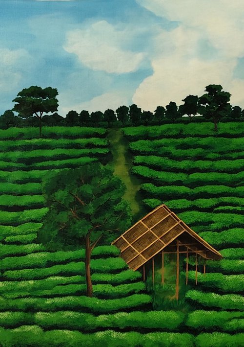 Tea Gardens of Assam II by Sreya Gupta