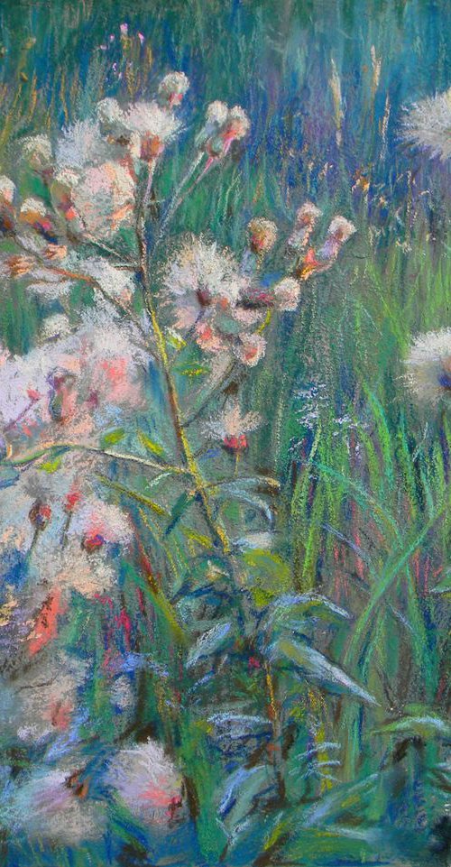 Field Herbs 1 by Liudmyla Chemodanova