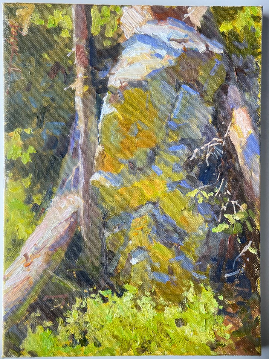 Impressionistic Landscape Oil Painting By Nataliia Nosyk, 9 X 12", Woods Reflections, Original Artwork