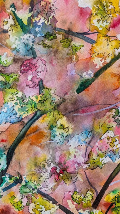 Blossom on sienna watercolour by Richard Freer