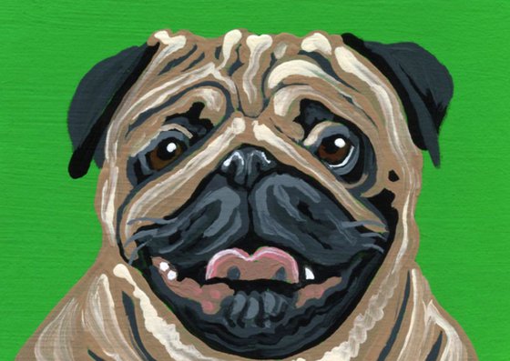 ACEO ATC Original Miniature Painting Fawn Pug Pet Dog Art-Carla Smale