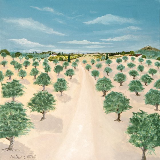 Olive Groves