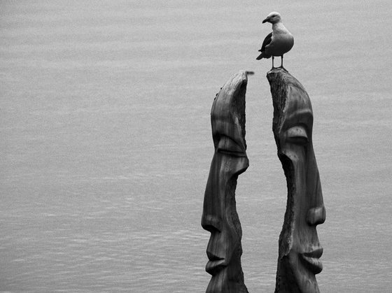 Gull and Two Faces