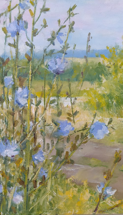 Chicory by Valentina Andrukhova