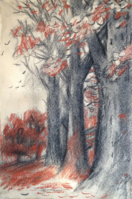 Old Trees in a Park drawing