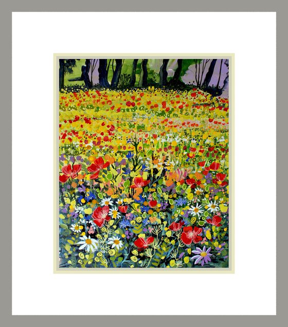 Wildflower Meadow