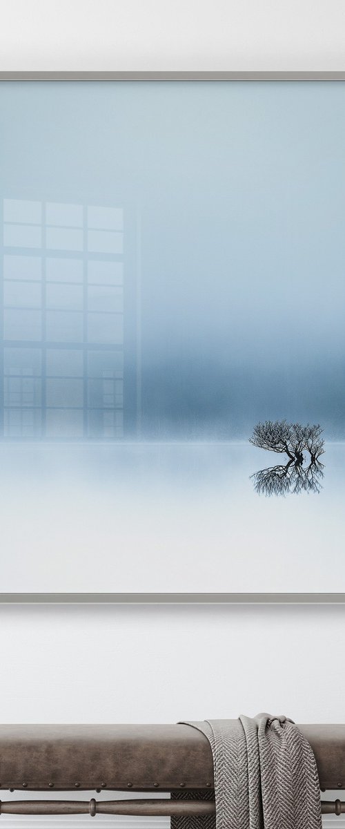 Lost in the mist..... by Lynne Douglas