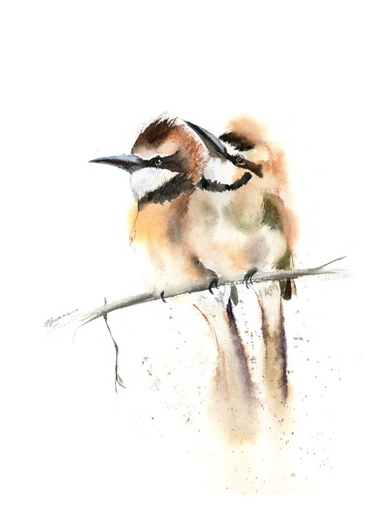 Two white throated bee eater birds  -  Original Watercolor Painting