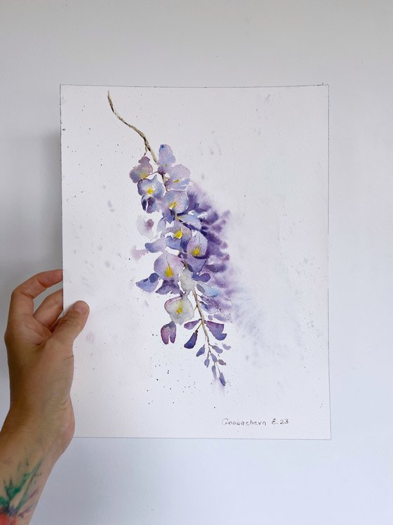 Wisteria #3