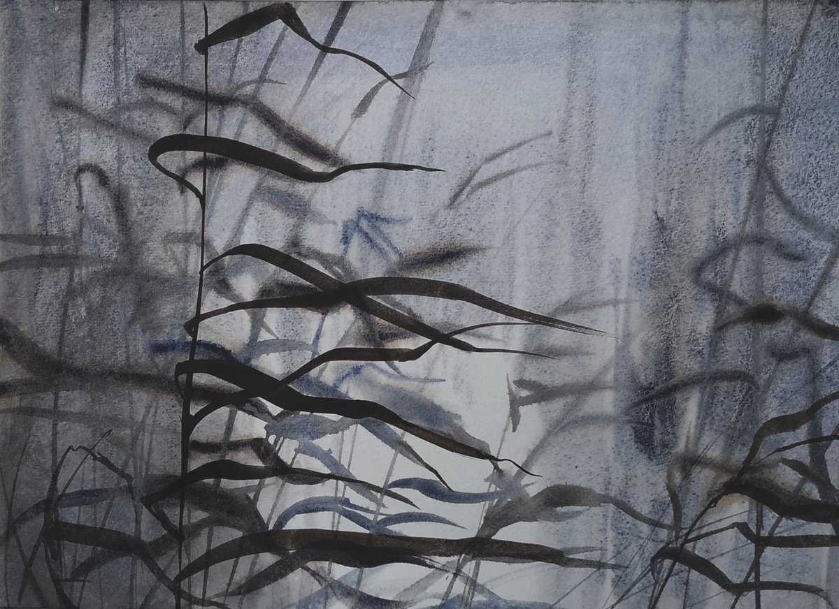 Dry Reed Winter - Dry Grass - Dry River Cane Grass - wintertime by Olga Beliaeva Watercolour