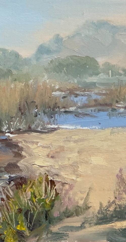 Carmel River Lagoon plein air by Tatyana Fogarty