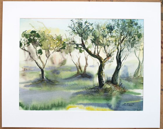 Olive trees in Saint-Remy