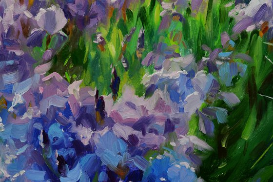 Irises in the garden