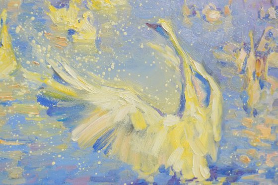 Revelation. White swan