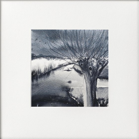 Monochrome - Winter Pollarded Willow