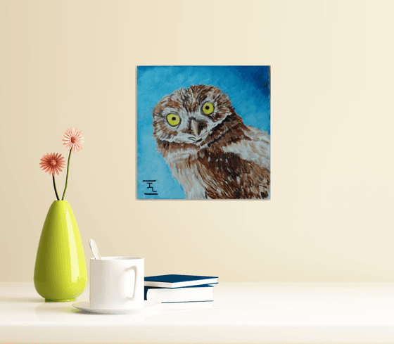 Owl